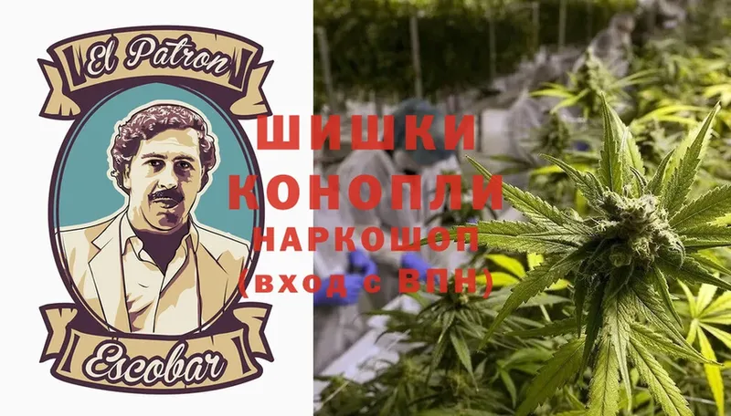 дарнет шоп  Кузнецк  Марихуана Ganja 